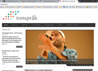 Tonspråk om estetik i skolan